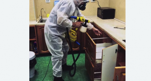 Уничтожение насекомых в квартире. Торковичи