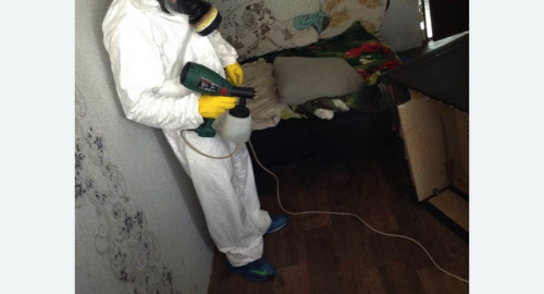 Обработка квартир от насекомых в Торковичи