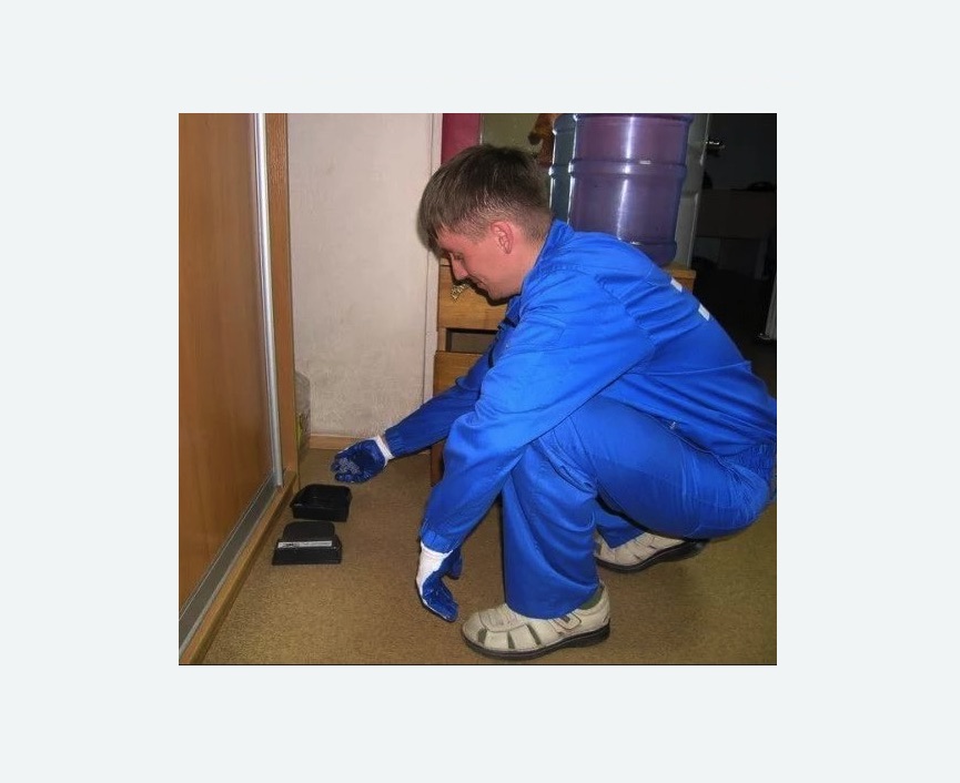 Дератизация крыс в Торковичи