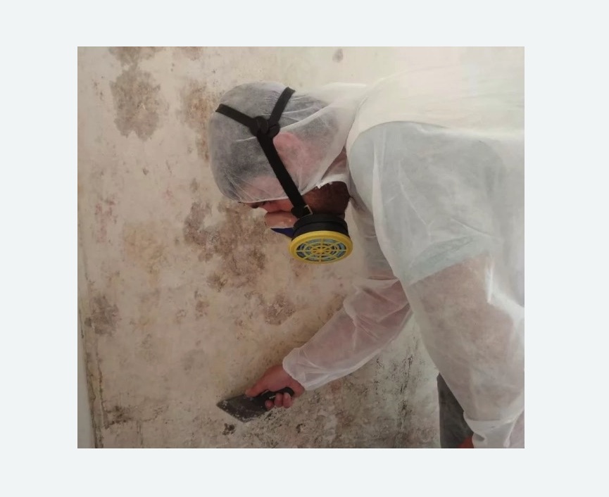 Обработка стен от плесени в Торковичи