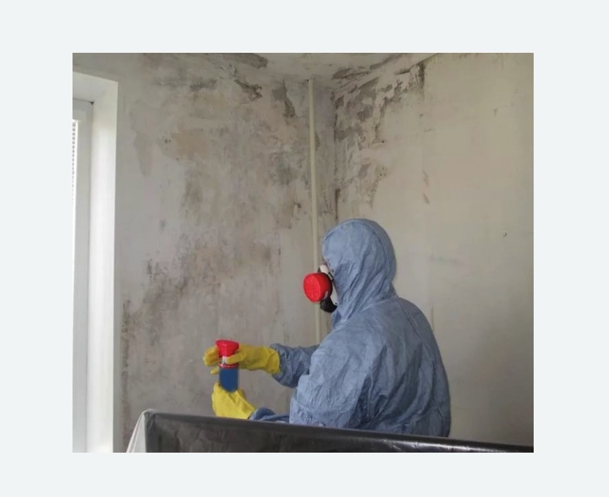 Удаление плесени в квартире в Торковичи