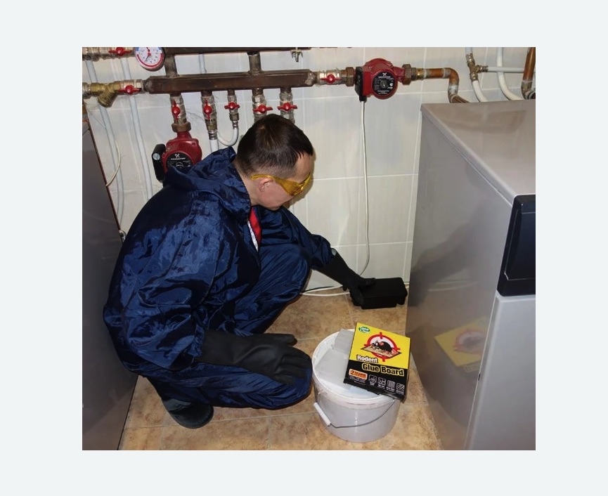 Уничтожение крыс в Торковичи