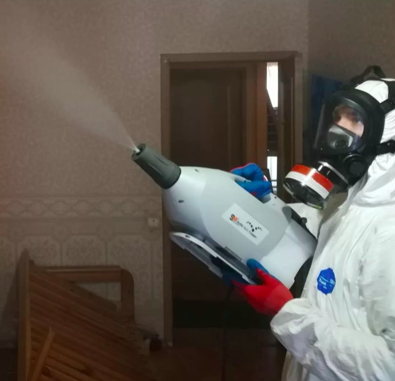 дезинсекция помещения в Торковичи