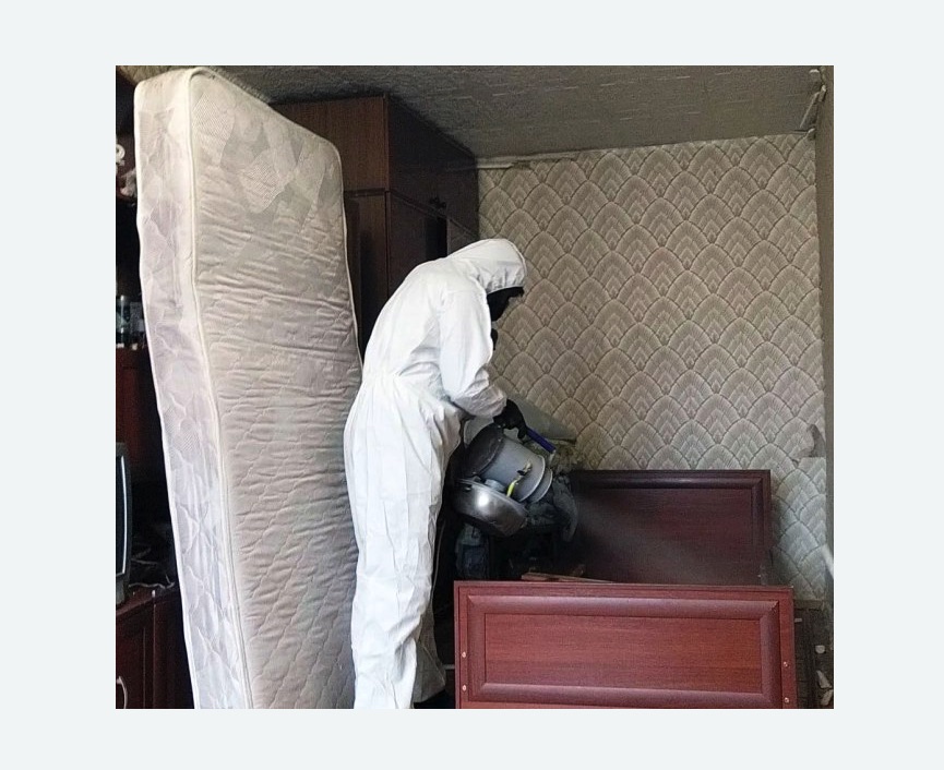 дезинфекция от клопов в Торковичи