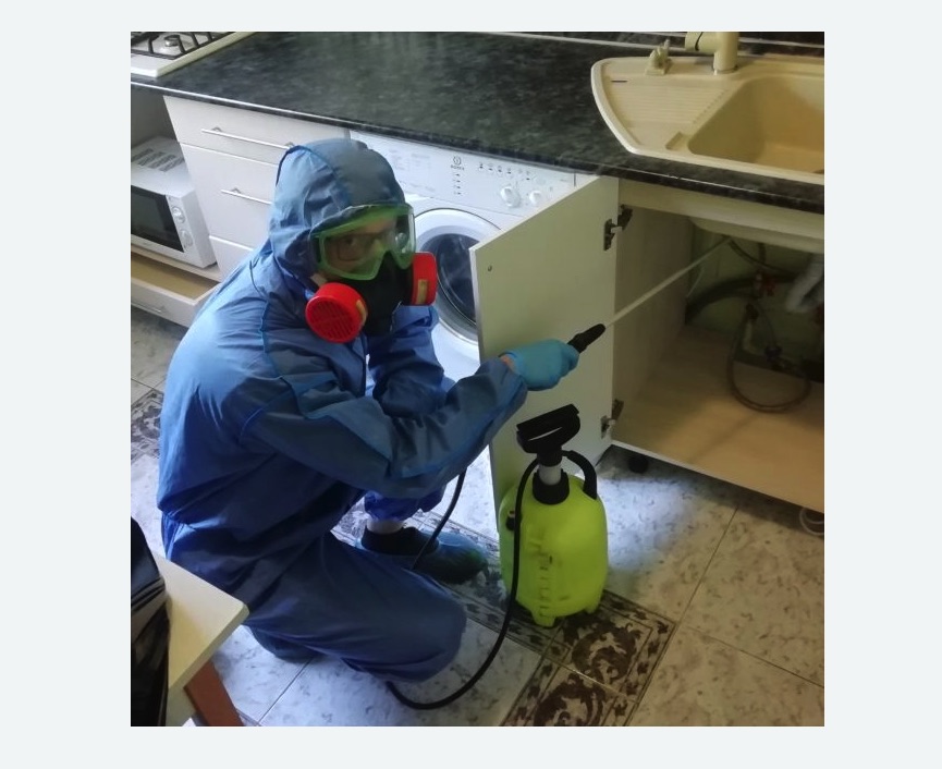 обработка от муравьев в квартире в Торковичи