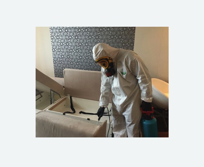 уничтожение клопов в квартире в Торковичи