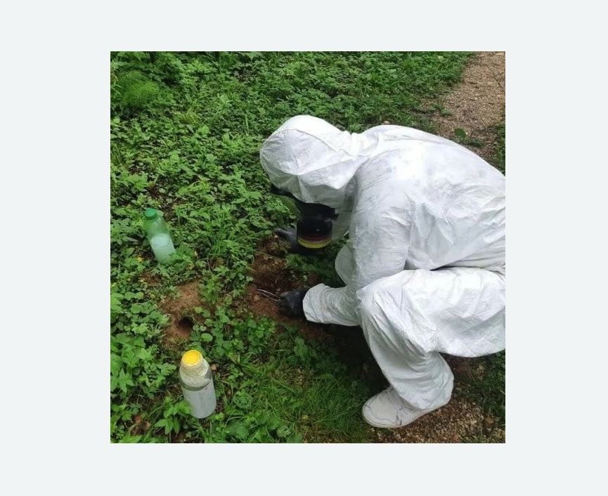 уничтожение кротов на участке в Торковичи