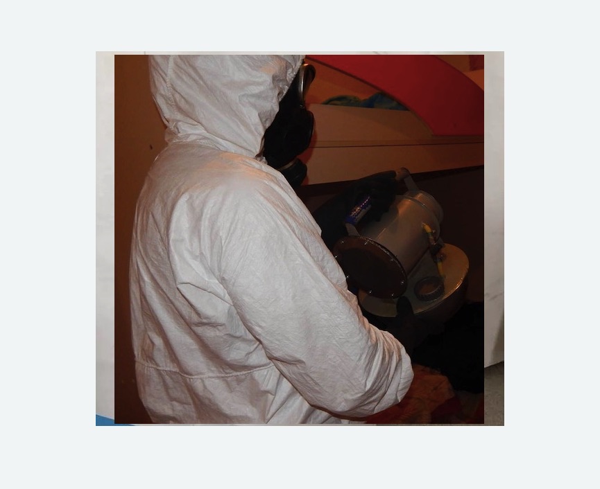 Дезинфекция от муравьев в Торковичи