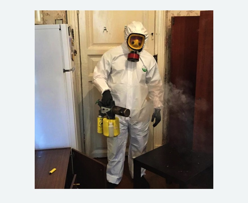 уничтожение муравьев в квартире в Торковичи